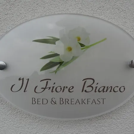 Il Fiore Bianco 4*