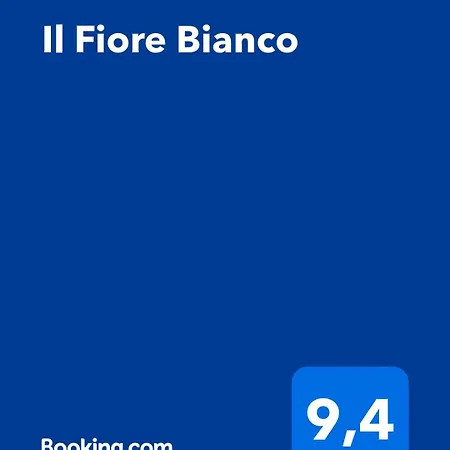 Il Fiore Bianco Capo dʼOrlando